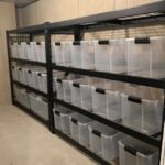 Clear plastic storage containers organized on black metal shelving units in a basement.